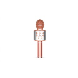 Micrófono Karaoke Niños 5w Bluetooth Efectos De Voz Parlante